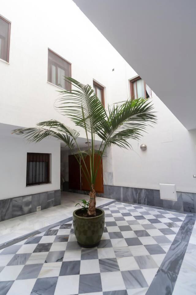 Sh Pilucas Home Moderno Apartamento Con Patio Cadiz Exterior photo